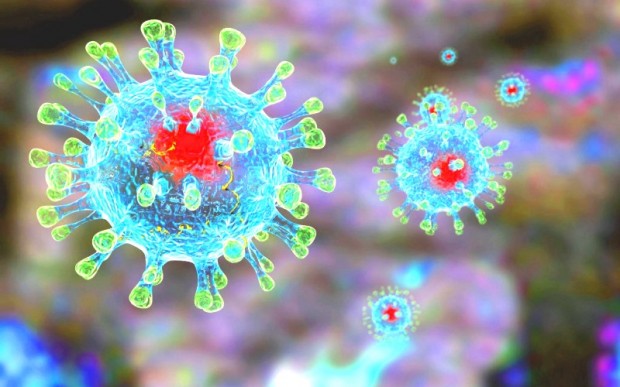Анализ на коронавирус на дому и все о заболевании